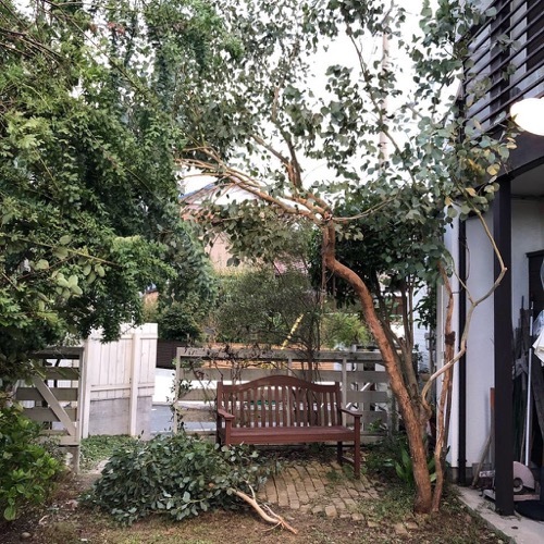 台風被害で庭の手入れ3時間!_a0284626_19375985.jpg