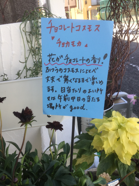 c0103830_12334070.jpg