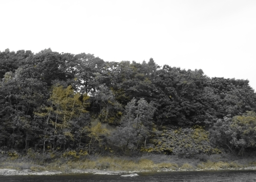 e0242439_23492804.jpg