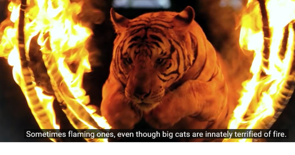 e0355140_17053910.png