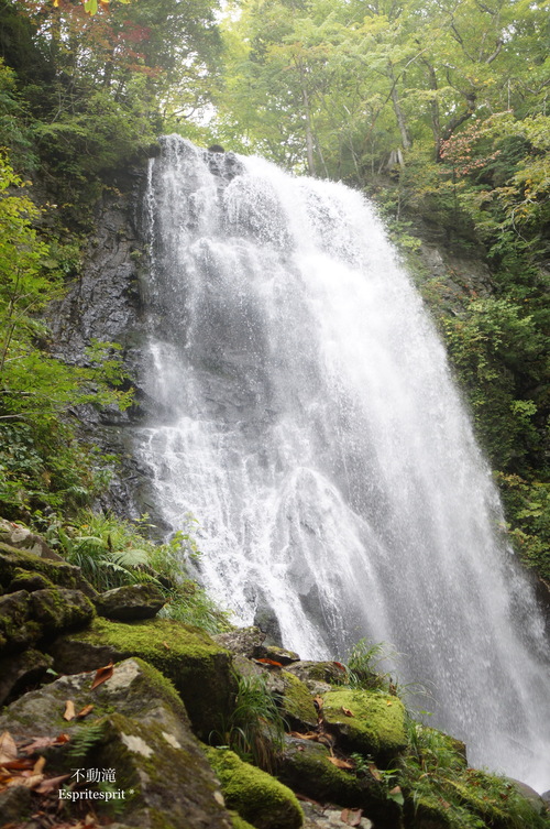 f0142141_8491721.jpg