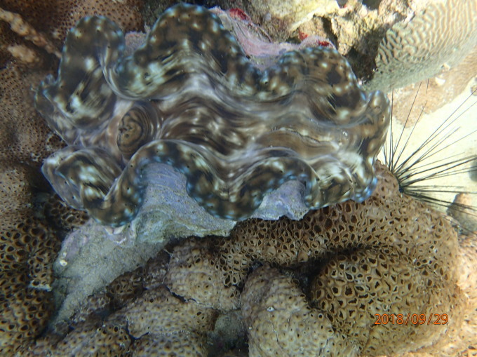 c0203942_16353041.jpg
