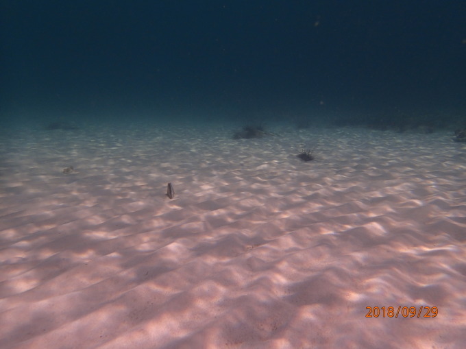 c0203942_16364729.jpg