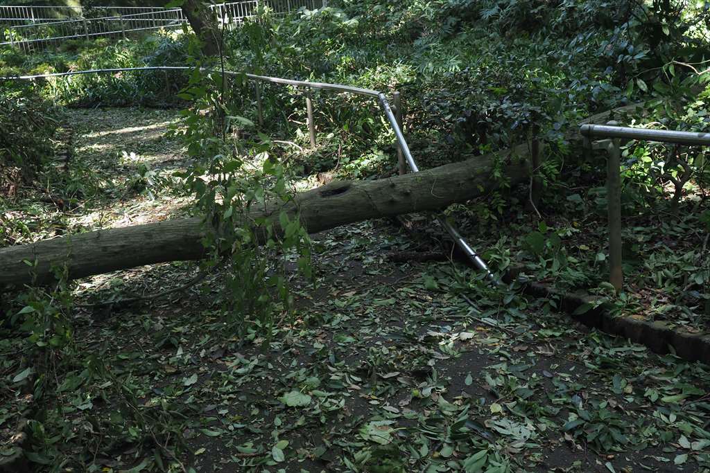 f0396143_2143925.jpg