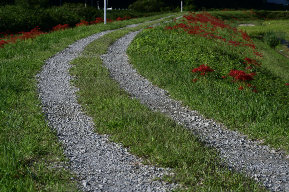 c0093046_17175500.jpg