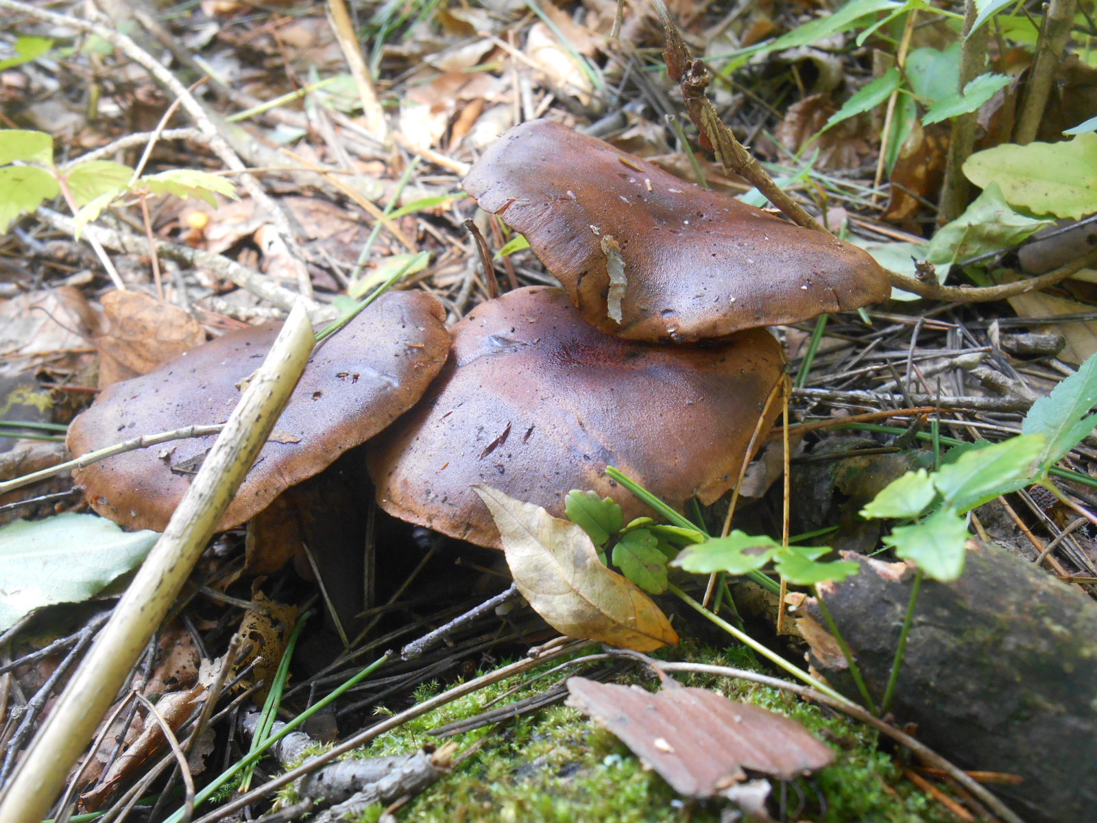 e0297347_22512320.jpg