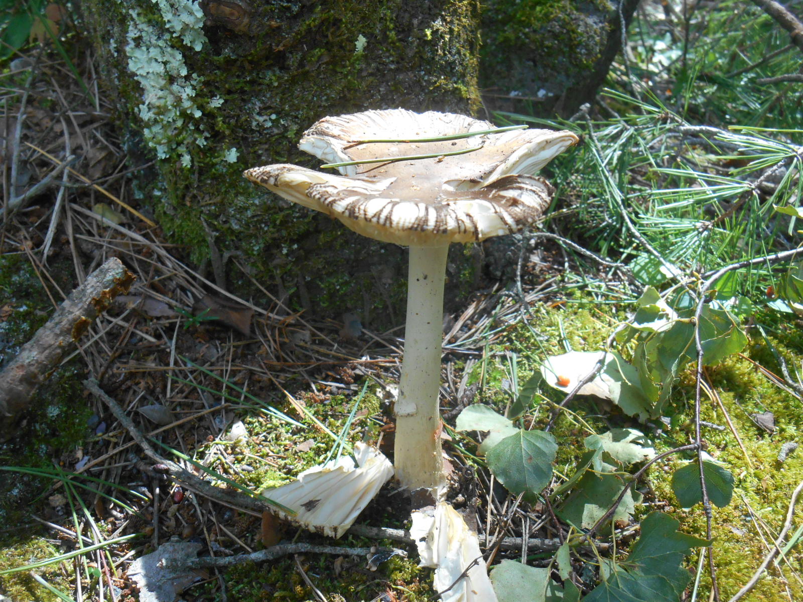 e0297347_22515727.jpg