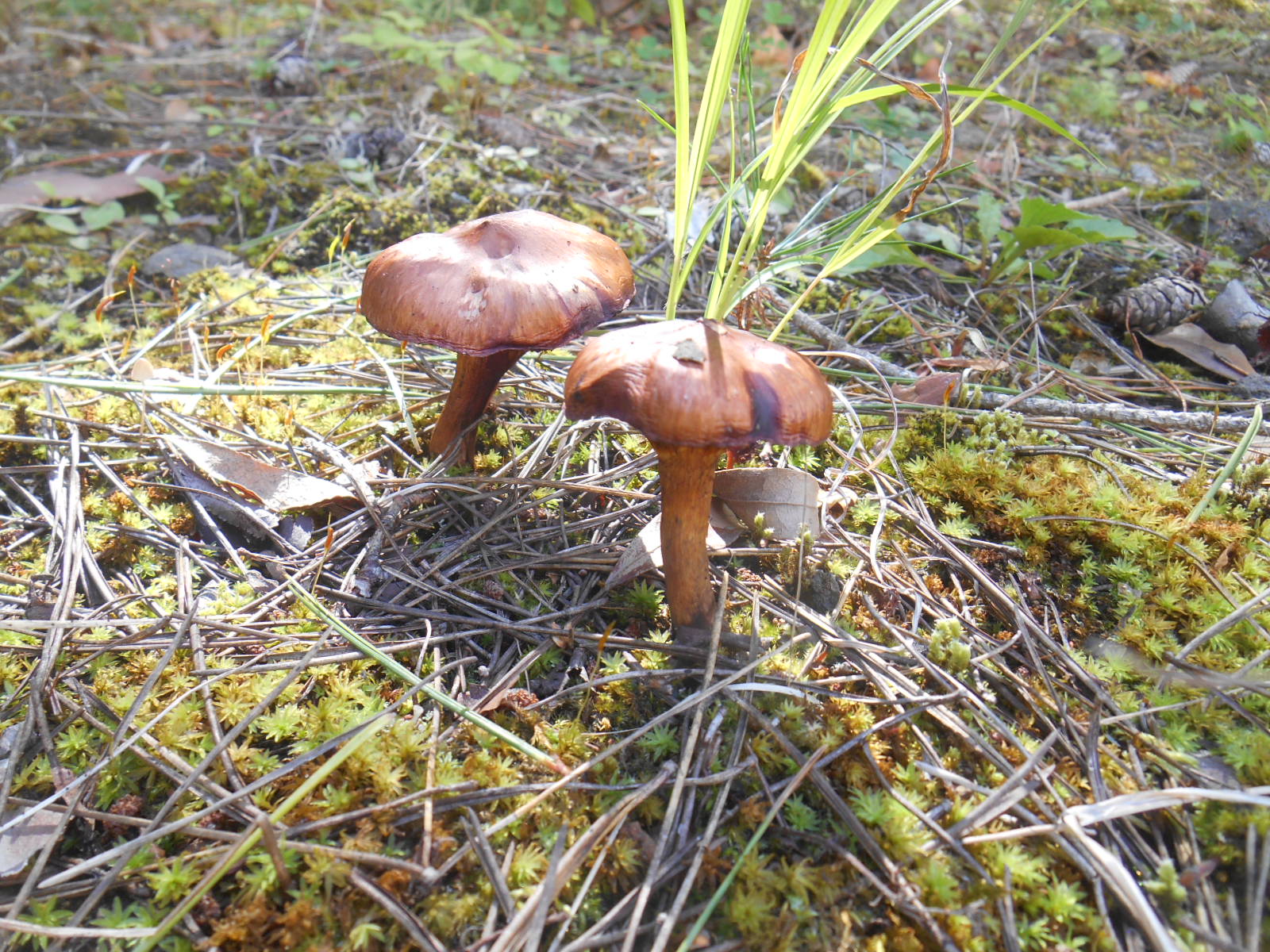 e0297347_22525517.jpg
