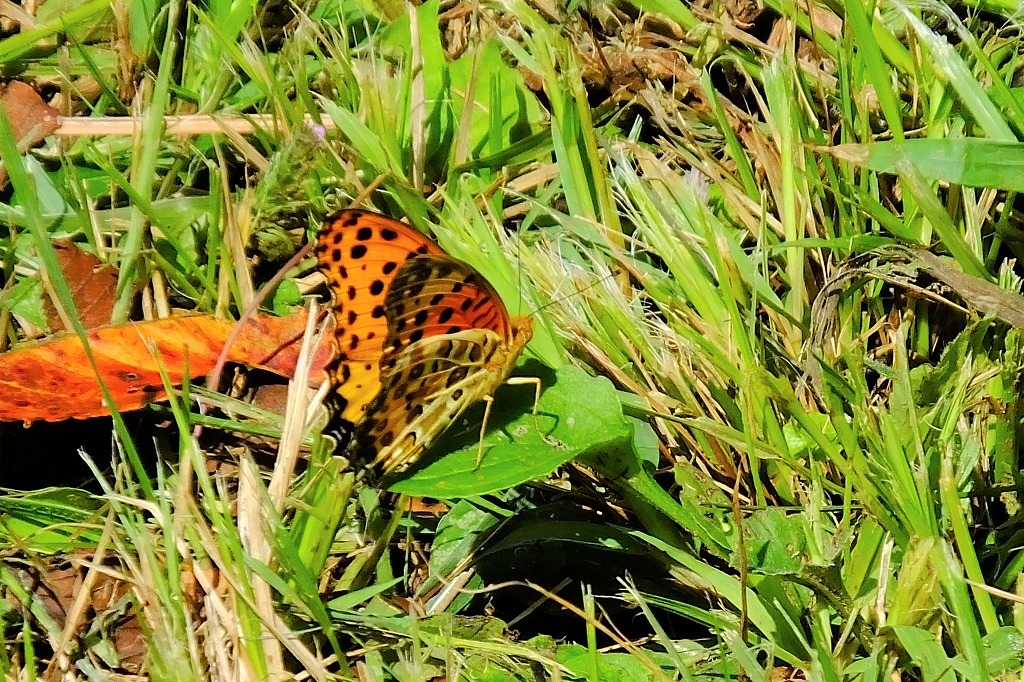 b0236251_11302483.jpg