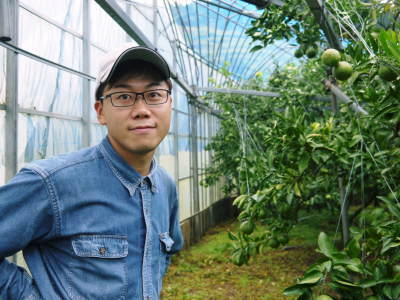 究極の柑橘「せとか」 今年はさらに収量アップの予感!匠の技で美しく、大きく、美味しく育てます(前編)_a0254656_17532257.jpg