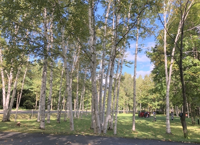 a0202860_18532558.jpg