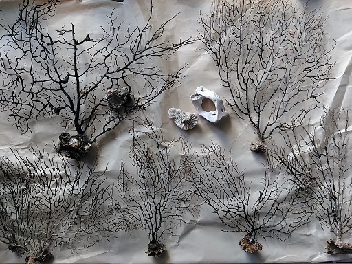 c0172261_12433895.jpg