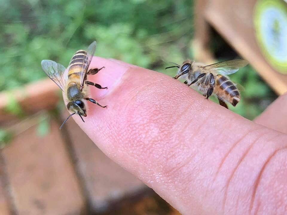c0123363_1538172.jpg