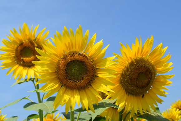 b0242873_00155175.jpg