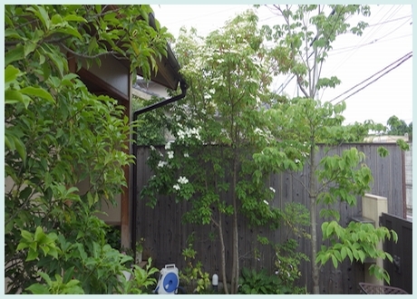 雑木林風 雰囲気のいいお庭 京都市庭木剪定 庭 佳niwaka 庭木1本からの植木屋 雑木林風 雰囲気のいいお庭 京都市庭木剪定 庭 佳niwaka 庭木1本からの植木屋