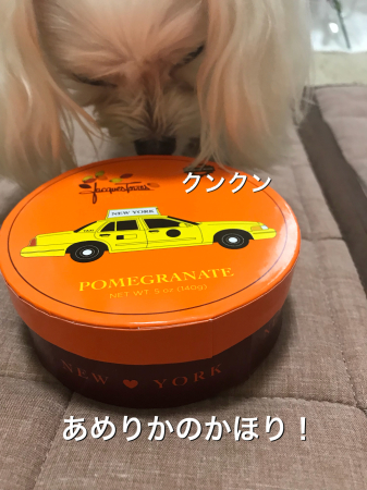 b0193480_13463207.jpeg