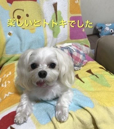 b0193480_17010906.jpeg