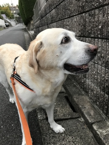 f0315081_21365461.jpeg