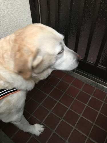 f0315081_21415551.jpeg