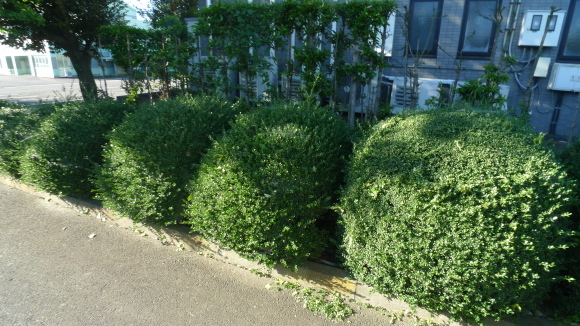 c0212083_18042630.jpg