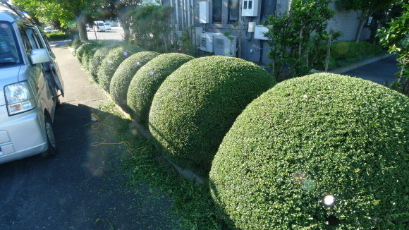 c0212083_18050920.jpg