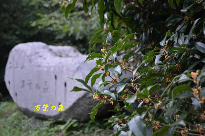 c0229483_0151774.jpg