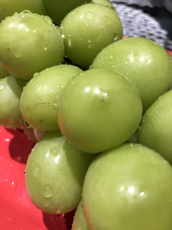 b0098584_19132370.jpeg