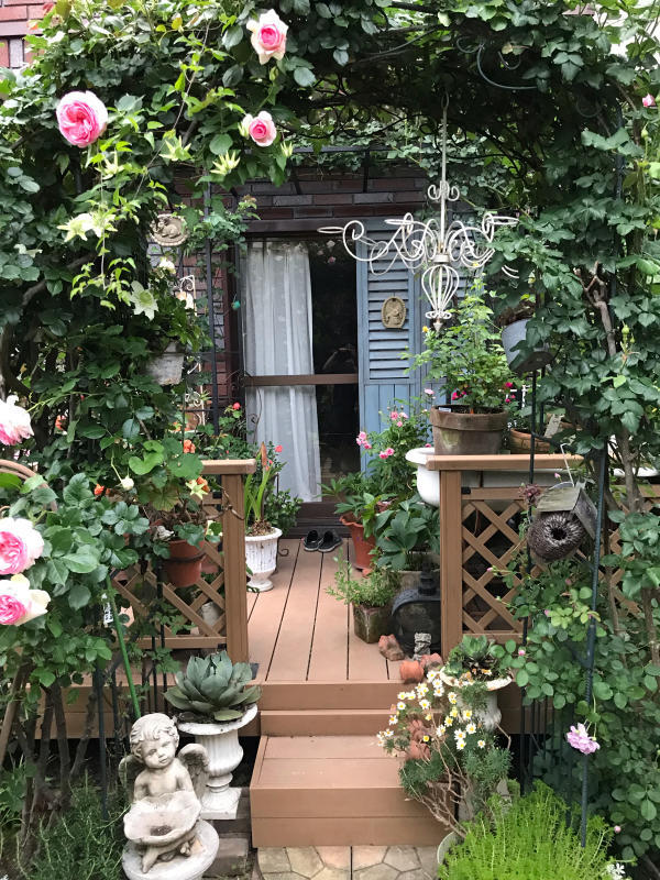 台風24号でバラが バラ好き夫婦のガーデン日記