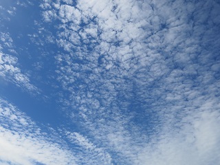 e0130185_10121513.jpg