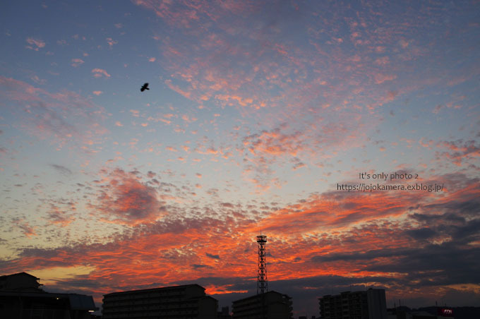 b0391986_21444474.jpg