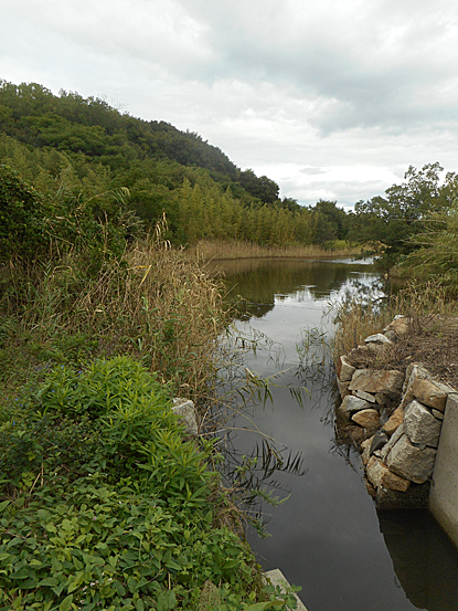 e0066586_12251349.jpg