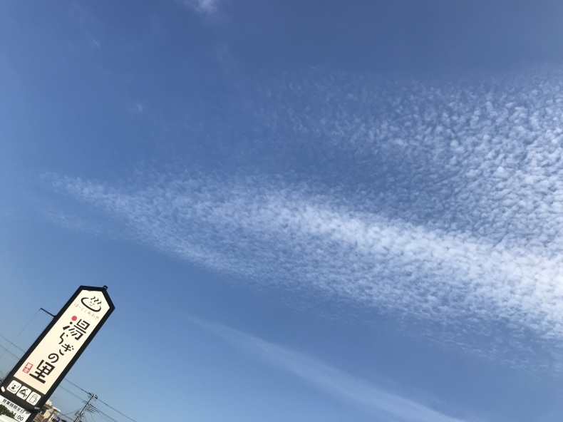 b0391788_16532323.jpeg