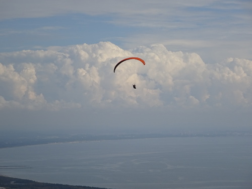 d0212491_0145774.jpg
