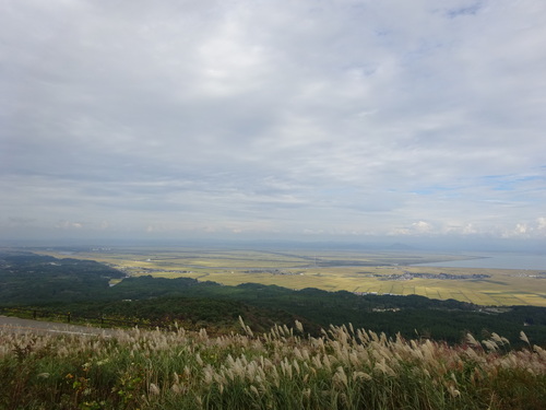 d0212491_0153165.jpg