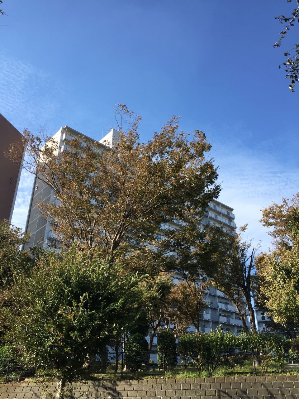 f0130894_21392190.jpg