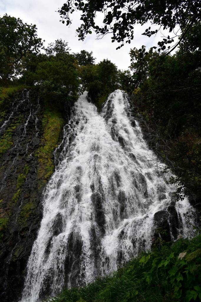 d0288500_20045529.jpg