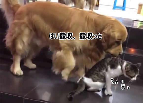 からくれない動物 124_c0072801_9224638.jpg