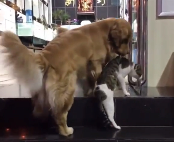 からくれない動物 124_c0072801_9332432.jpg