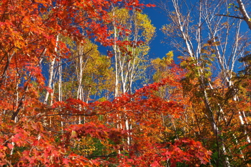 a0263109_19240427.jpg
