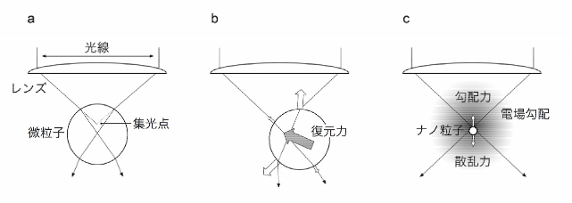 a0348309_9453661.png