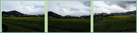 f0231709_16385809.gif