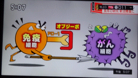 f0231709_17491212.gif