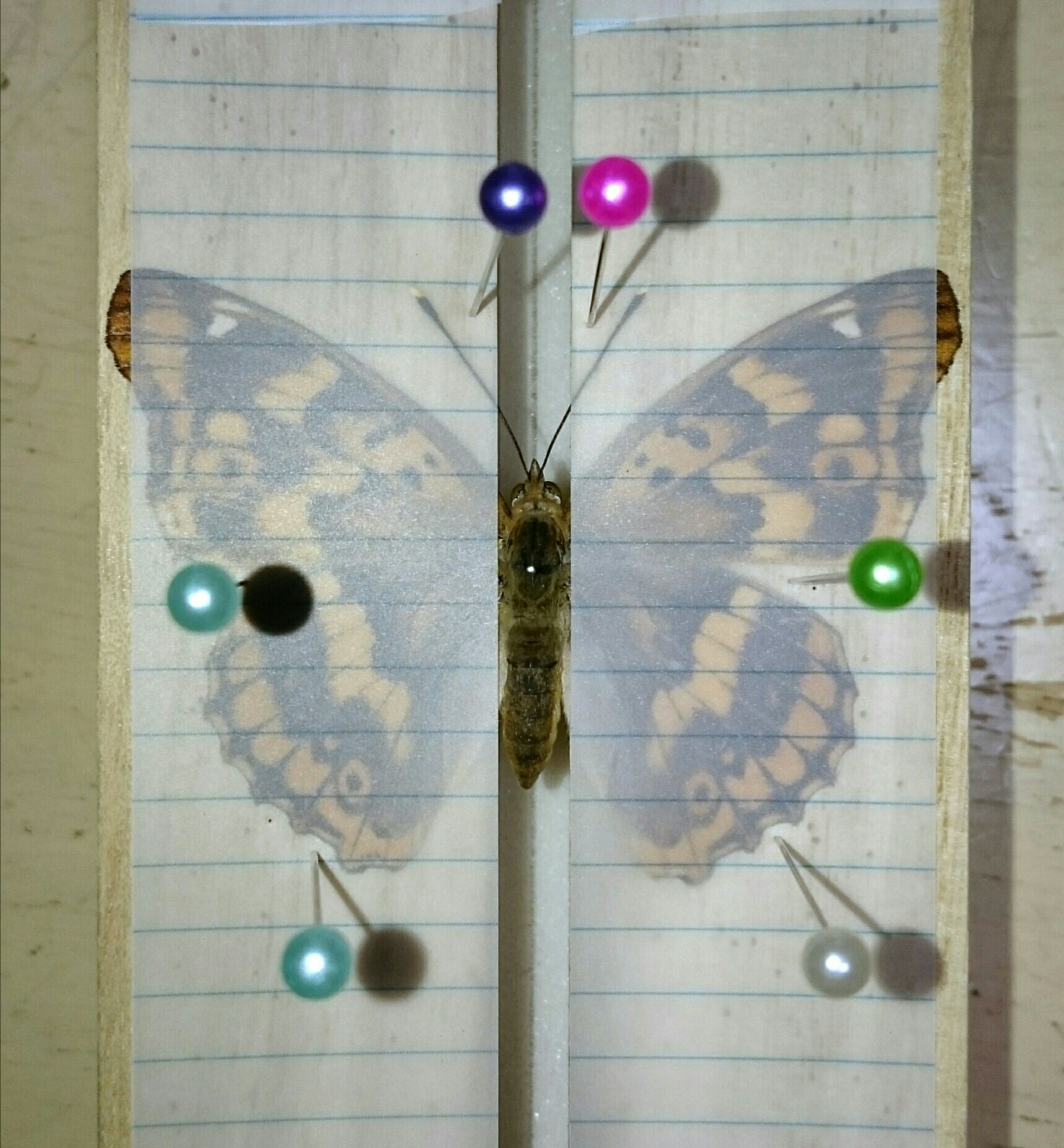 a0361610_19322570.jpg