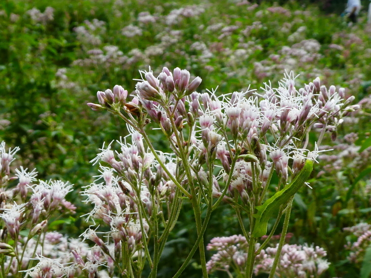 c0062511_22242304.jpg