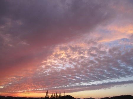 a0174419_19232056.jpg