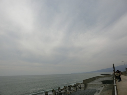 d0221319_19535418.jpg