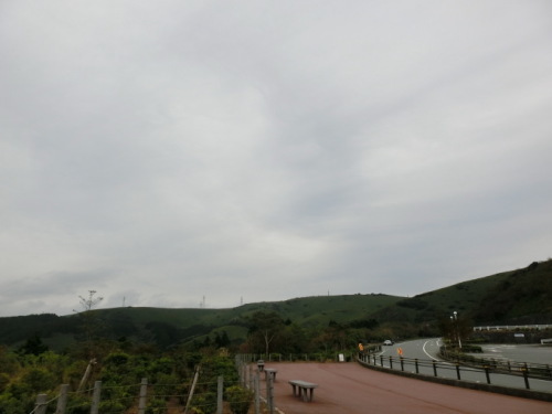 d0221319_19572977.jpg