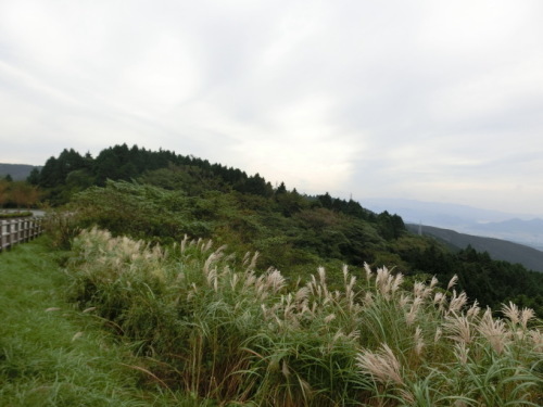 d0221319_20044509.jpg
