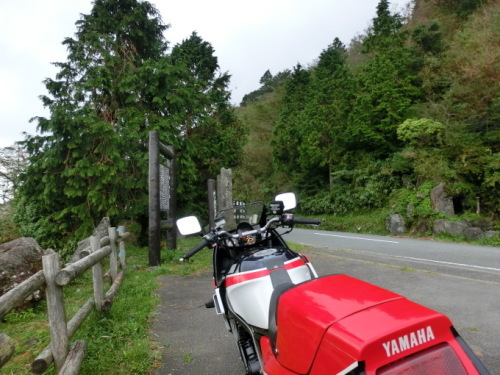 d0221319_20364674.jpg