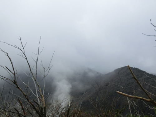 d0221319_21595765.jpg
